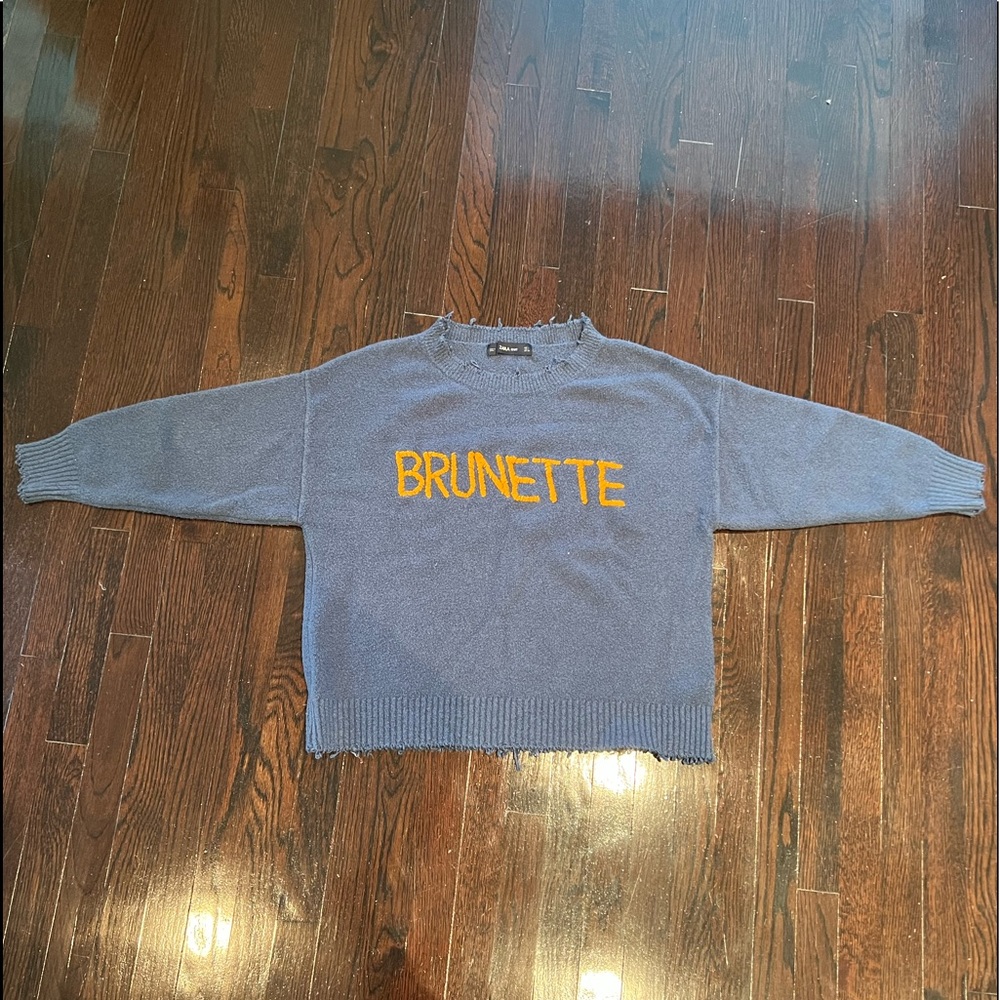 Zara knit BRUNETTE blue sweater.